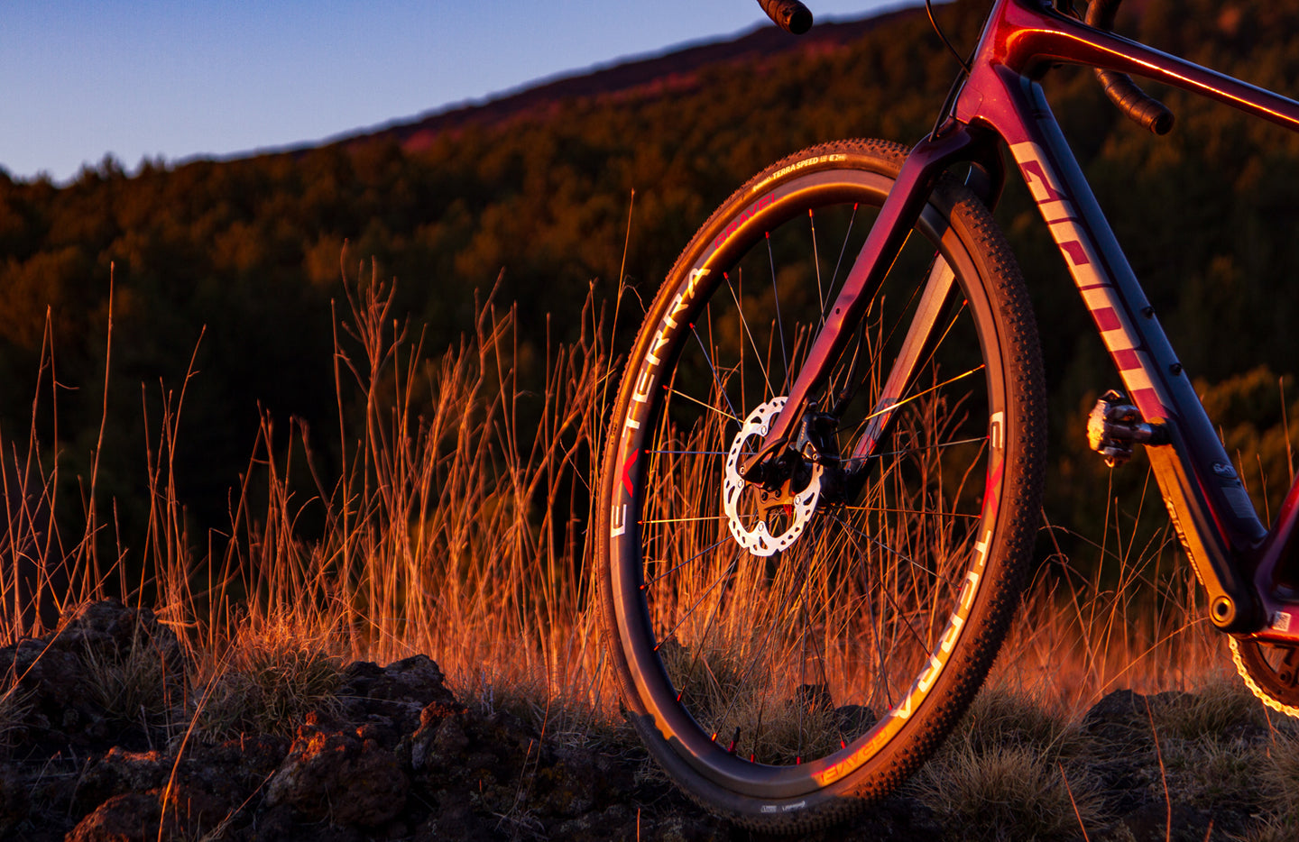 Ruote strada BDC Gravel